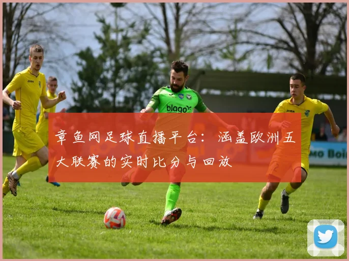 章鱼网足球直播平台：涵盖欧洲五大联赛的实时比分与回放