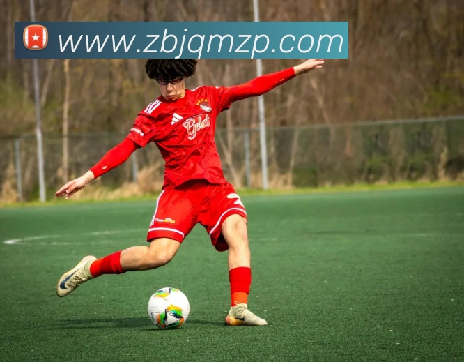 开云官方入口app平台生态图